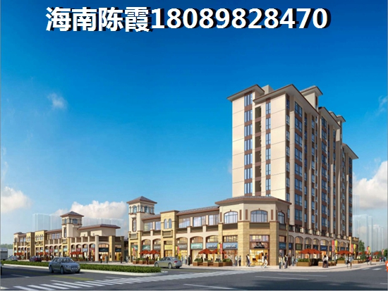 海南海口买房touzi什么醉划算？