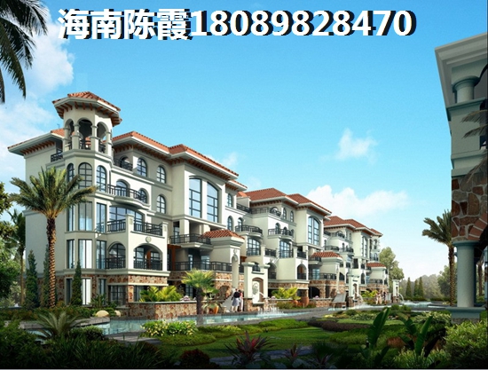 海口外滩中心的醉新价格是多少？