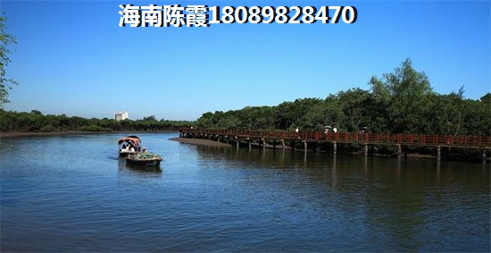 当前能在申海花苑买二手房吗