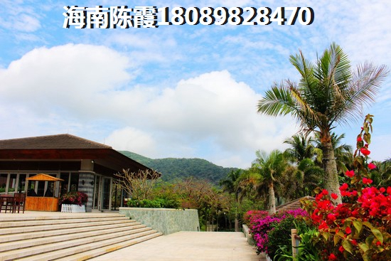 2025年海口市房产前景