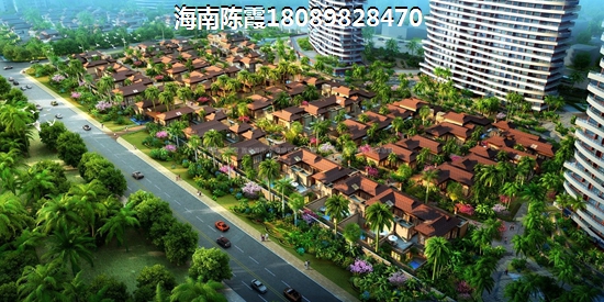 业主为什么看好海口市秀英区未来前景？