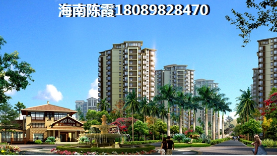 椰岛广场生纸潜力分析~
