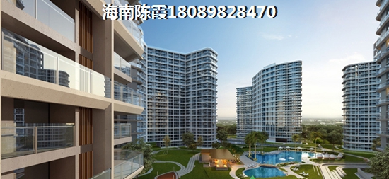 李子专用套袋