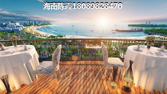 装修客厅里放什么植物好