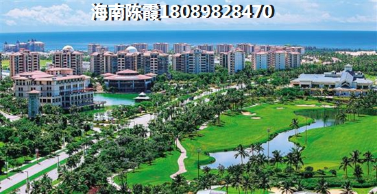 fly单词是什么意思