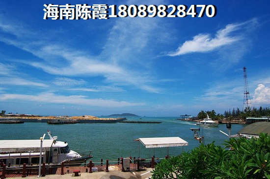 梳子的小游戏