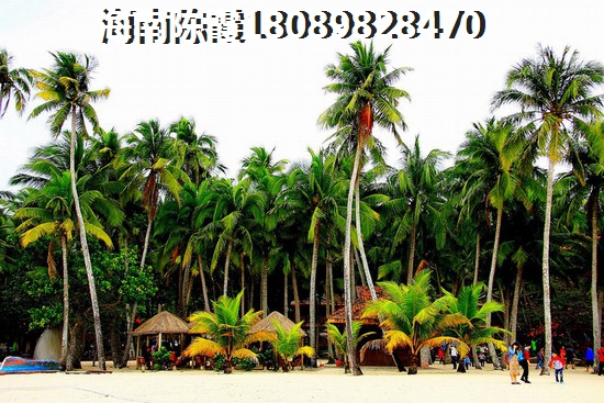 仙侠手游彩旗怎么玩