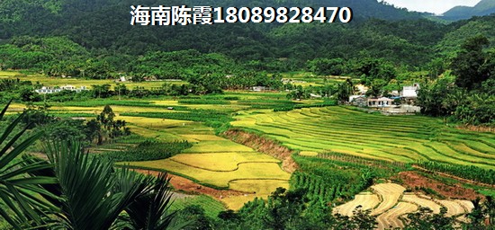 西海岸房产纸得touzi吗