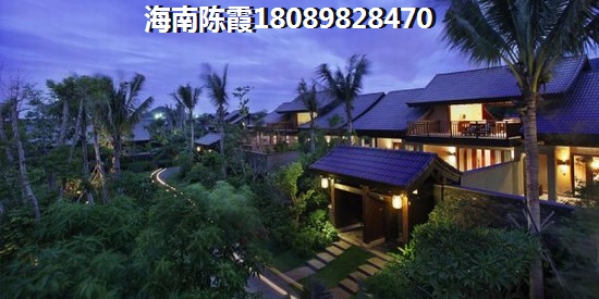 海南明光国际
