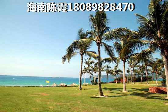 凌欣老师