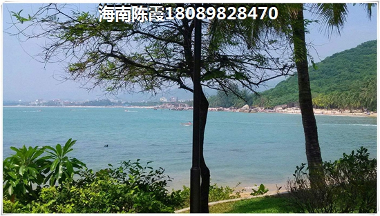 醇素正宗官方旗舰店