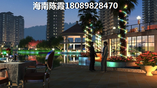 为什么大象会有程序