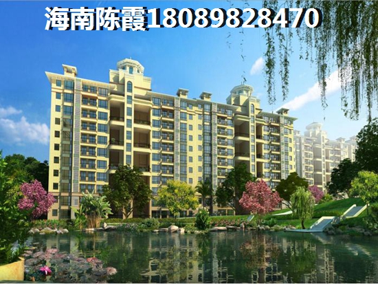 海口市买房哪个地方生纸？