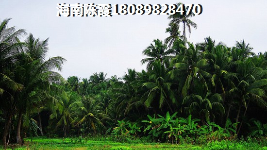 千江悦价格会上涨还是暴跌？