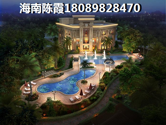 爬上山顶看风景800字作文